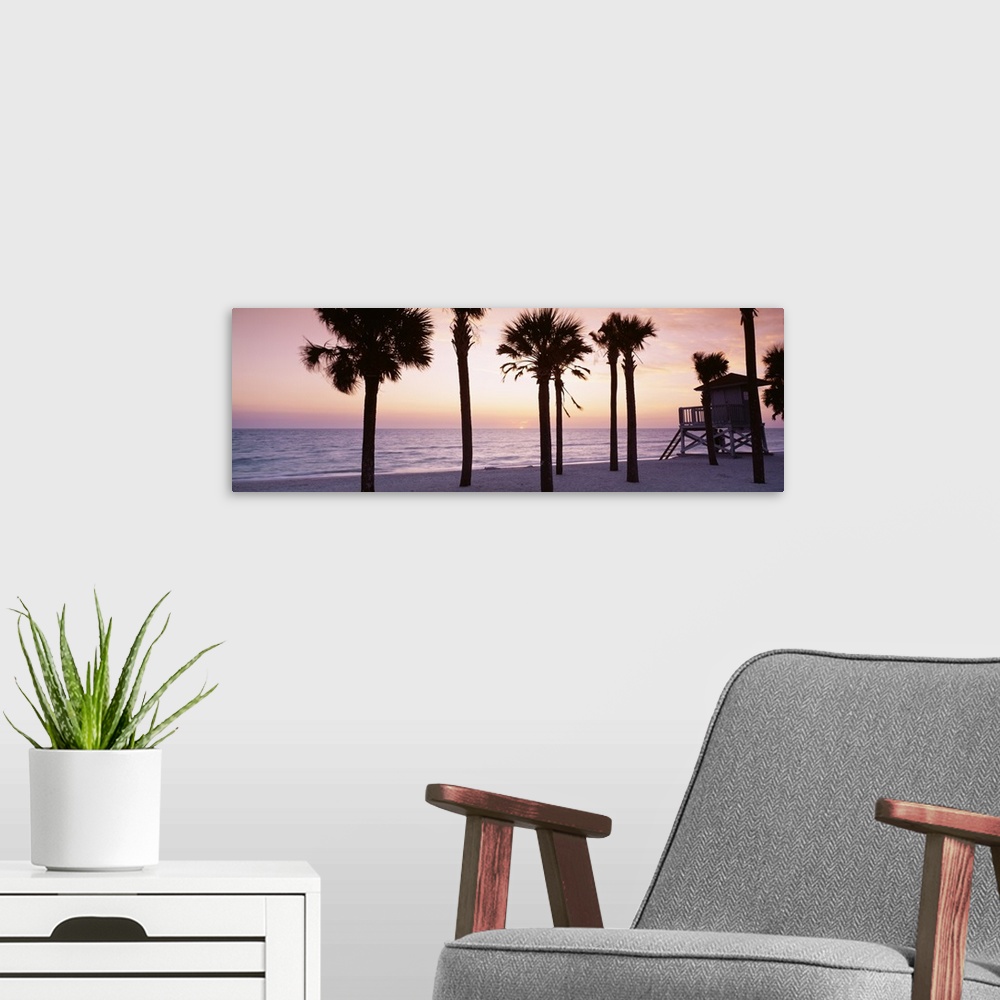 A modern room featuring Panoramic photograph taken of palm trees on a beach with the sun just setting below the ocean hor...