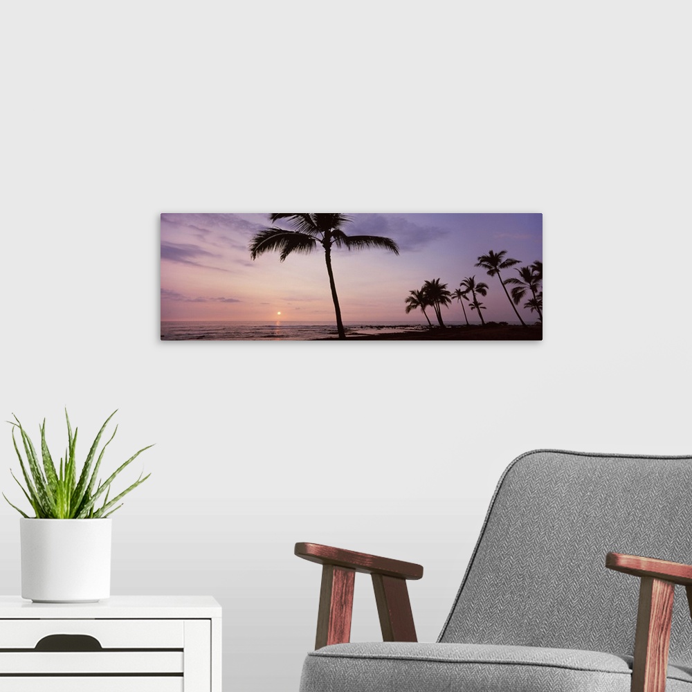 A modern room featuring Palm trees on the beach, Keauhou, South Kona, Hawaii County, Hawaii, USA