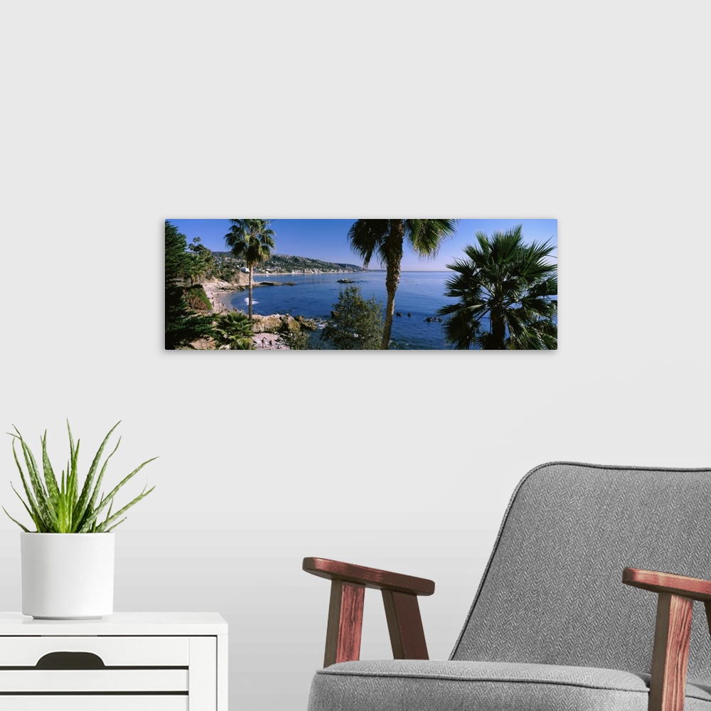A modern room featuring Palm trees on the beach, Laguna Beach, Orange County, California, USA
