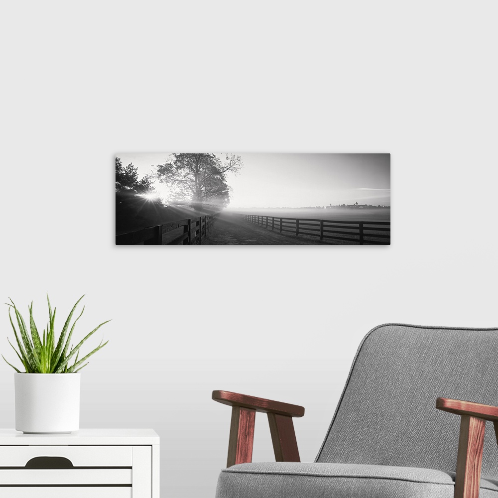 A modern room featuring Ranch at dawn, Woodford County, Kentucky