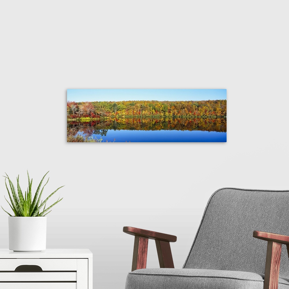 A modern room featuring Reflection of trees in water, Lake Hamilton, Massachusetts
