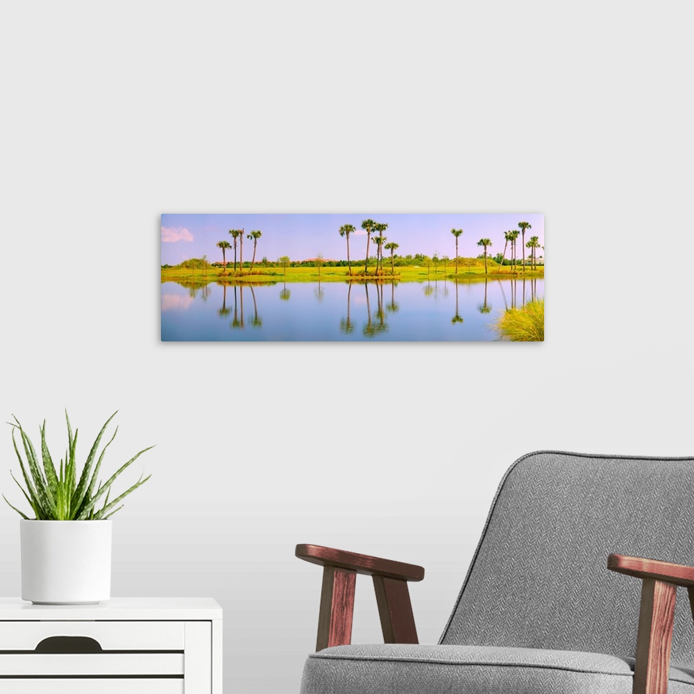 A modern room featuring Reflection of trees on water, Lake Worth, Palm Beach County, Florida