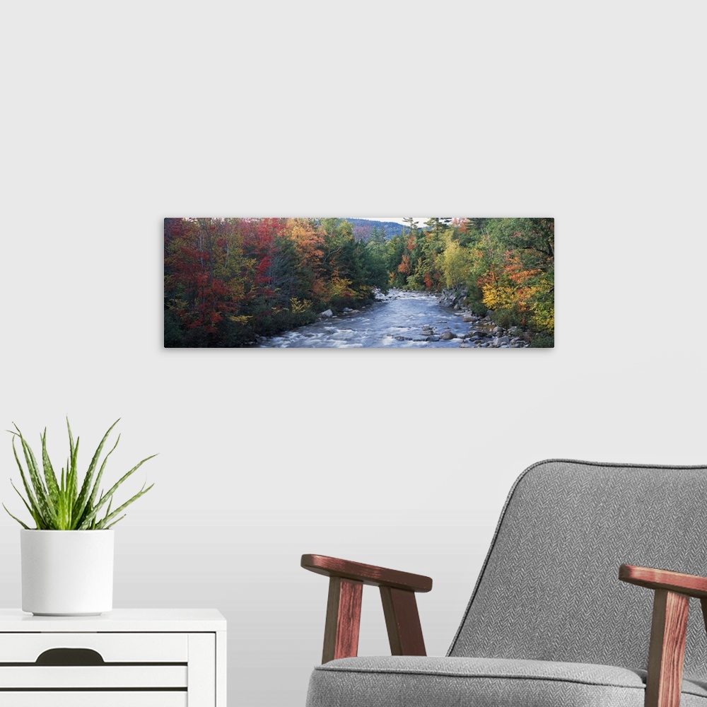 A modern room featuring River flowing through a forest, Swift River, Conway, Carroll County, New Hampshire