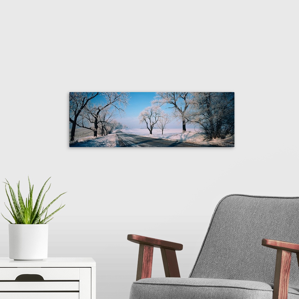 A modern room featuring Road passing through winter fields, Illinois,