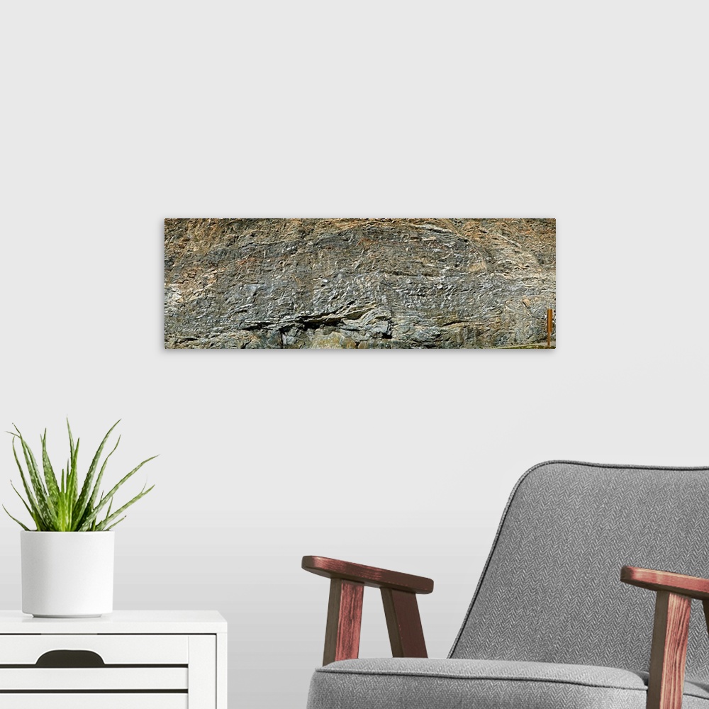 A modern room featuring Rock wall from road cut, Icefields Parkway, Alberta, Canada