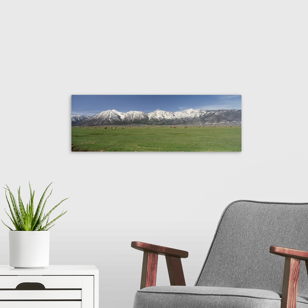 A modern room featuring Sierra Nevada Range NV