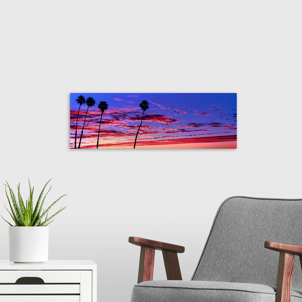 A modern room featuring Silhouette of palm trees at sunrise, Santa Barbara, California, USA.