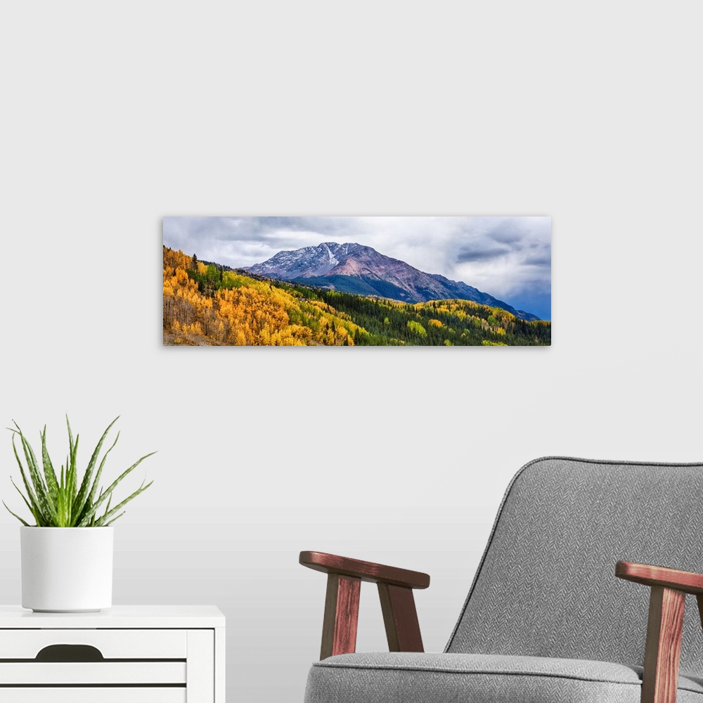 A modern room featuring Trees on mountains, San Juan National Forest, Colorado