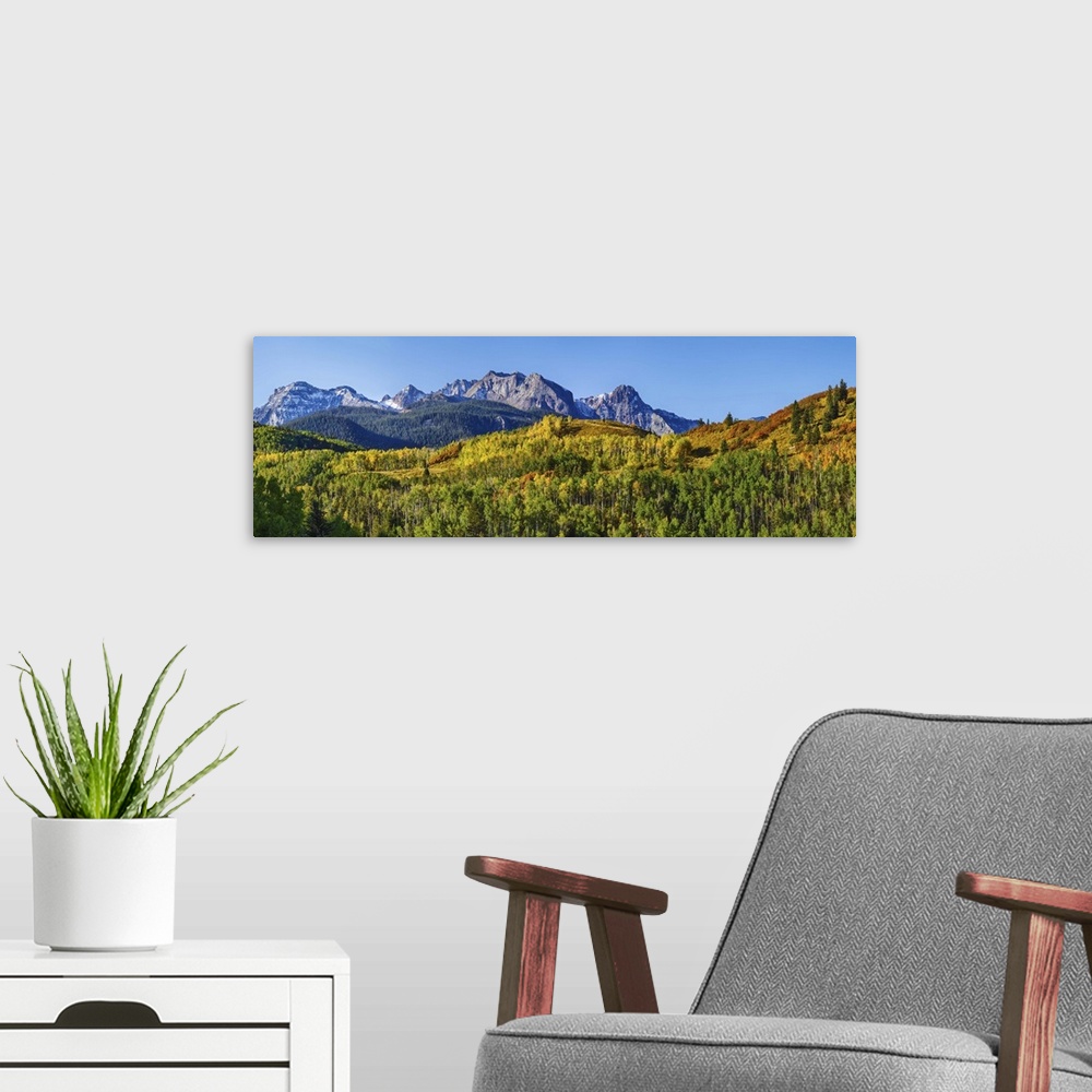 A modern room featuring Uncompahgre National Forest, Colorado