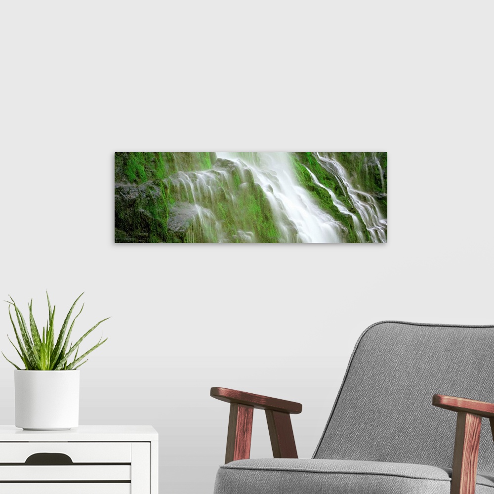 A modern room featuring Waterfall in a forest
