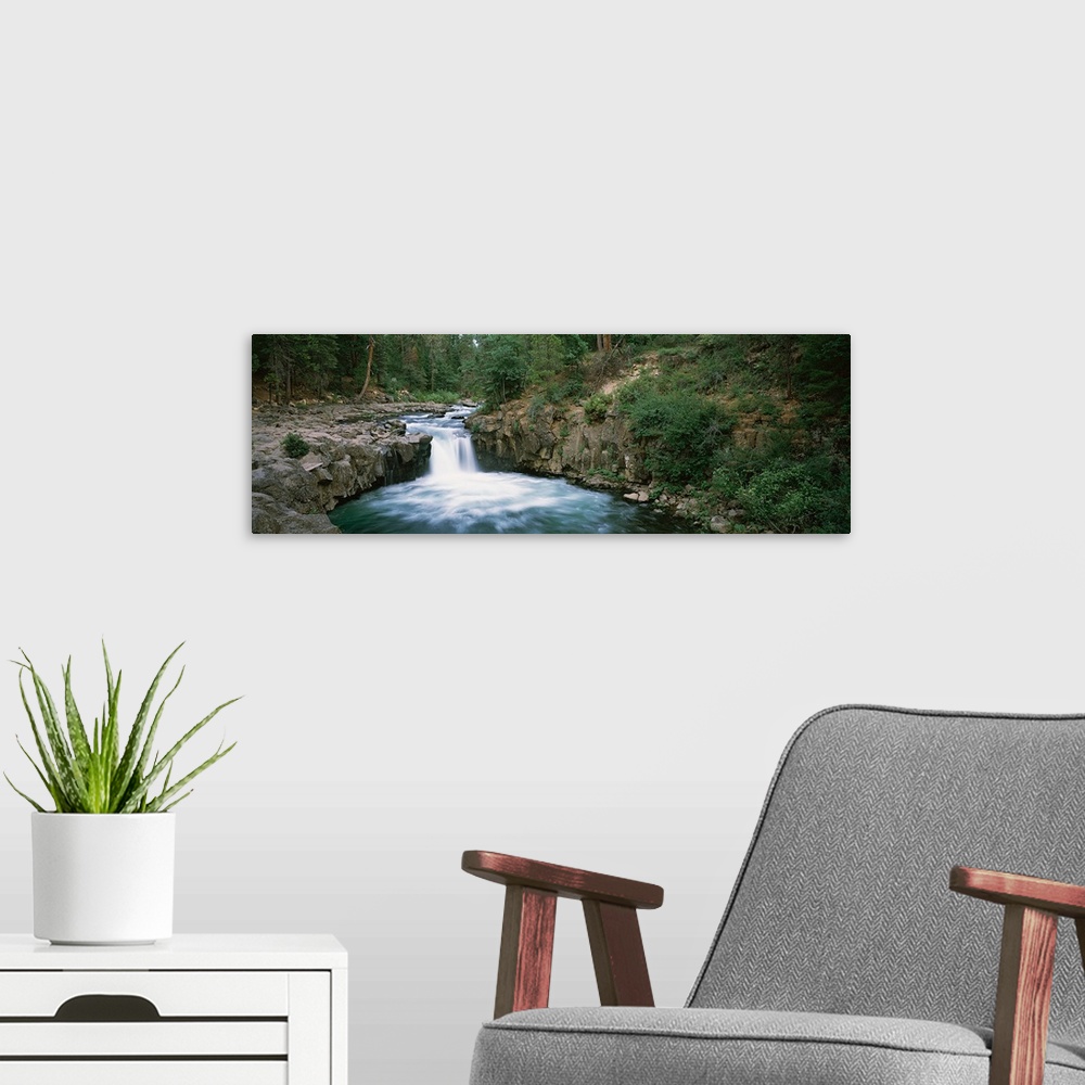 A modern room featuring Waterfall in a forest, McCloud Falls, Lower Falls, Mt Shasta, California,