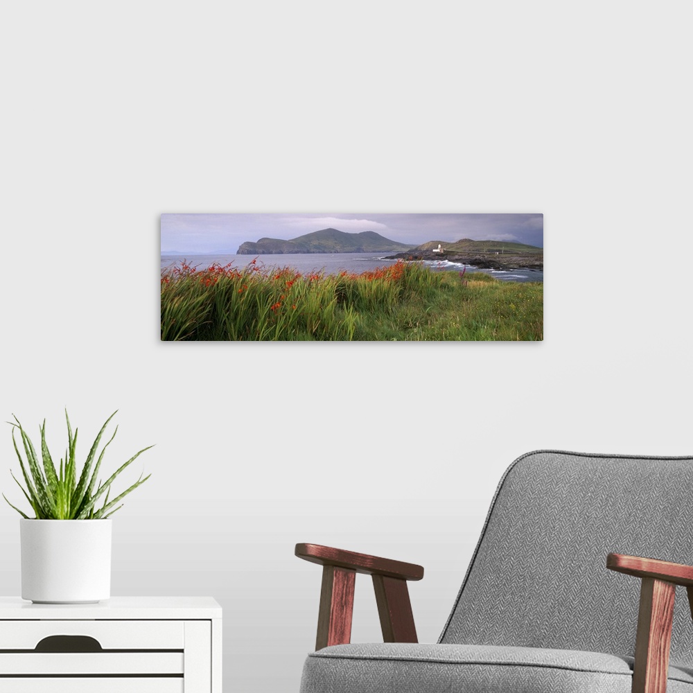 A modern room featuring Doulus Bay and Doulus Head, Valentia island, Munster, Republic of Ireland