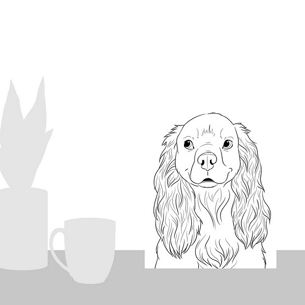 A scale-illustration room featuring Spaniel