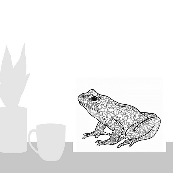 A scale-illustration room featuring BW Frog