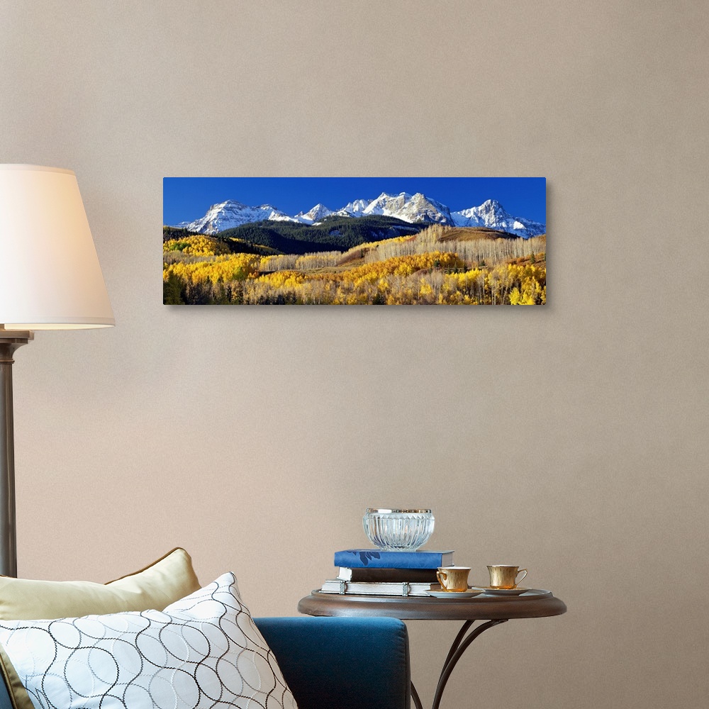 Colorado, Rocky Mountains, aspens, autumn Wall Art, Canvas Prints ...