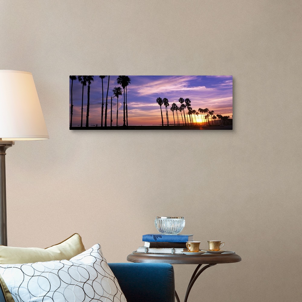 Silhouette of palm trees at sunset, Santa Barbara, California Wall Art ...