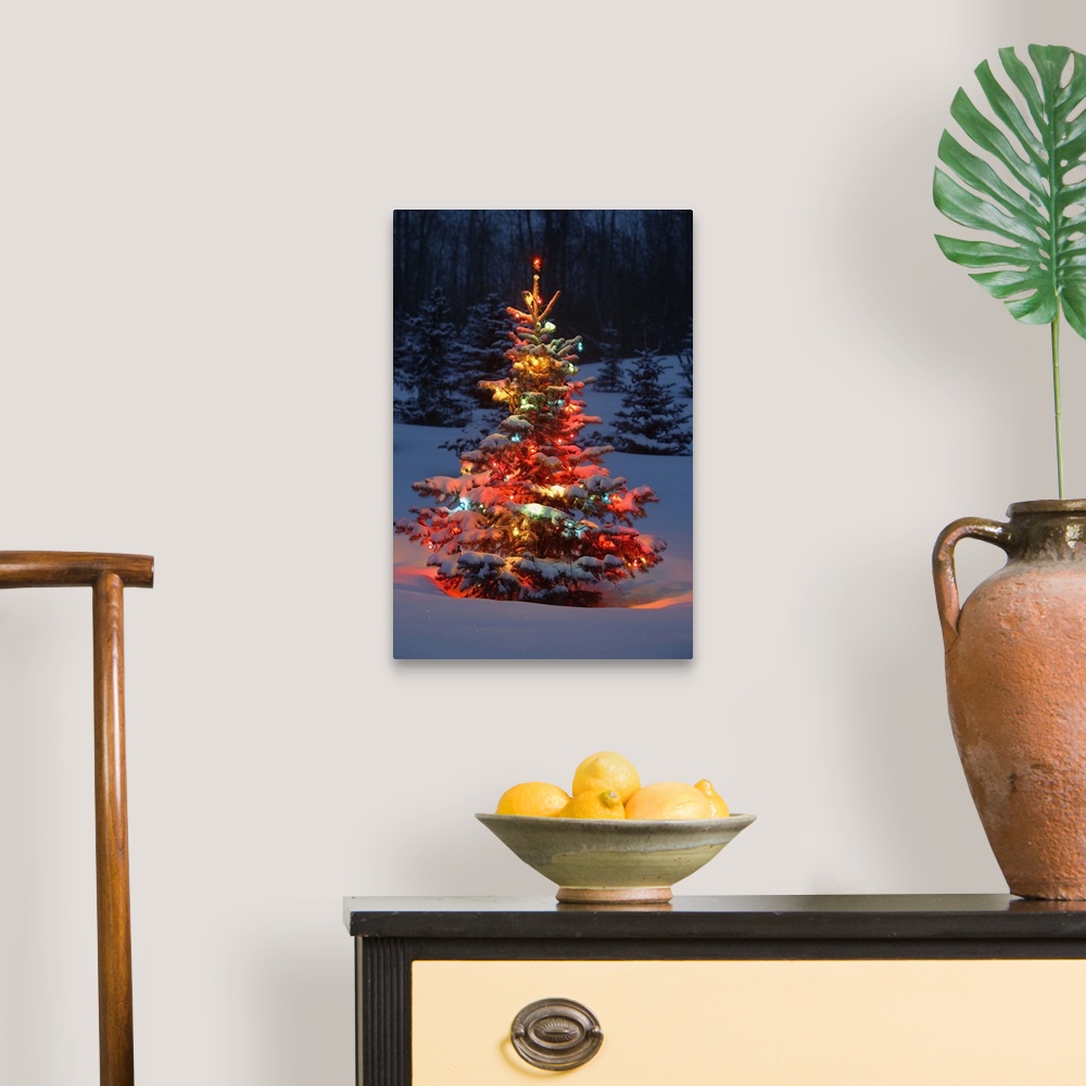 Christmas Tree With Lights Outdoors In The Forest Wall Art, Canvas ...