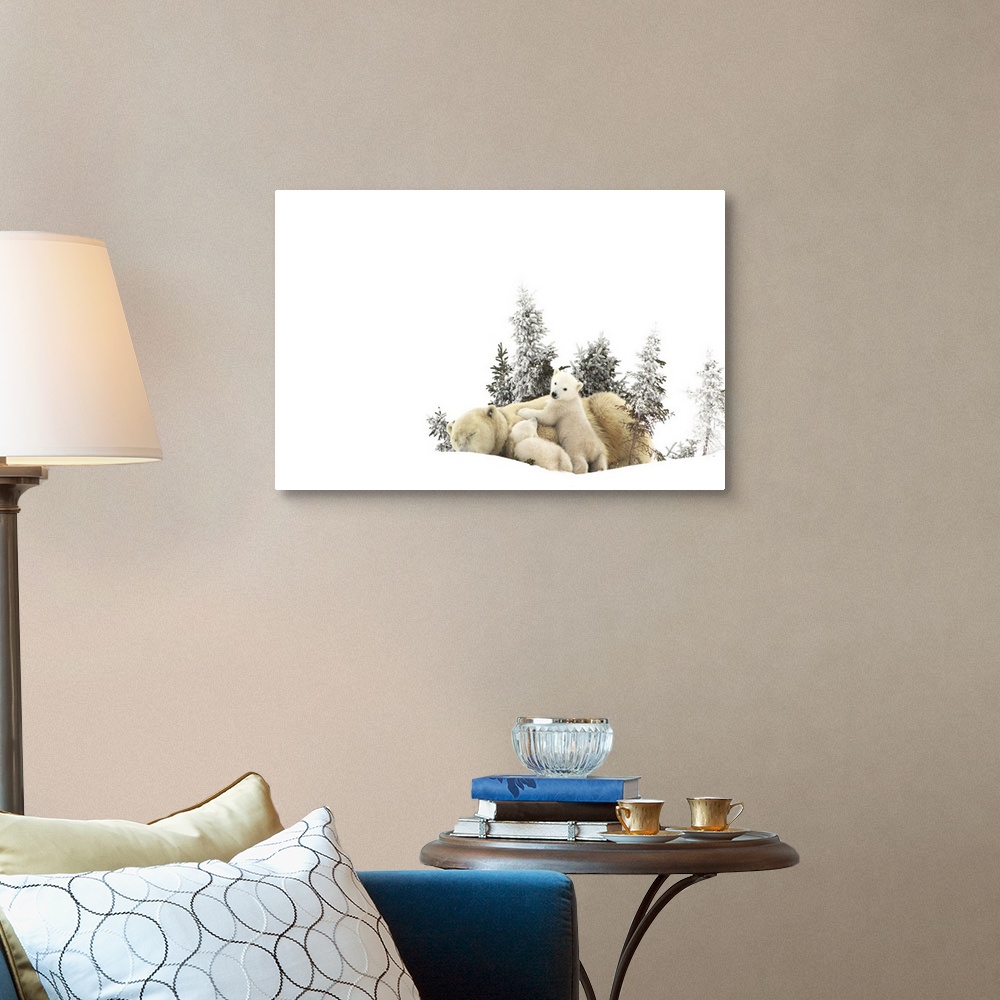 Polar Bear Mother And Her Cubs Playing In The Snow Churchill Manitoba Canada Wall Art Canvas Prints Framed Prints Wall Peels Great Big Canvas