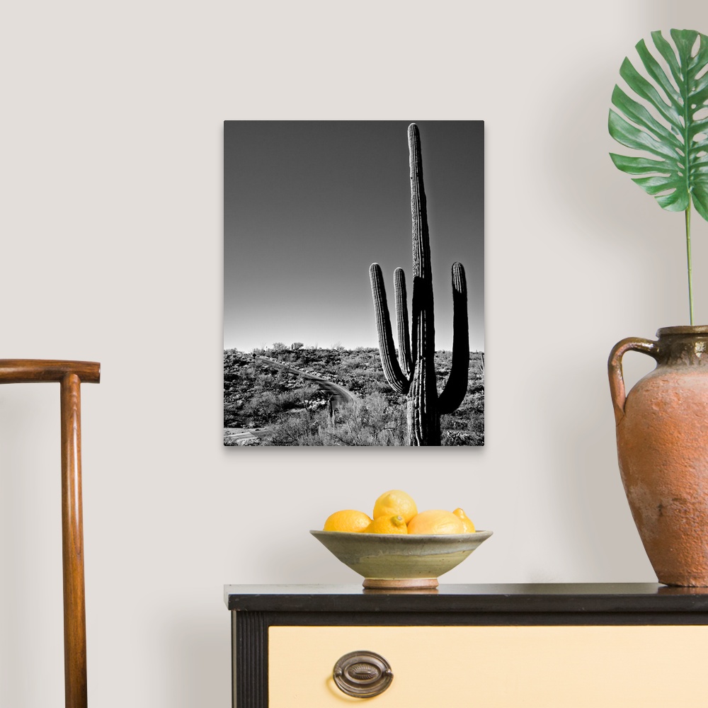 Saguaro Cactus Wall Art, Canvas Prints, Framed Prints, Wall Peels ...
