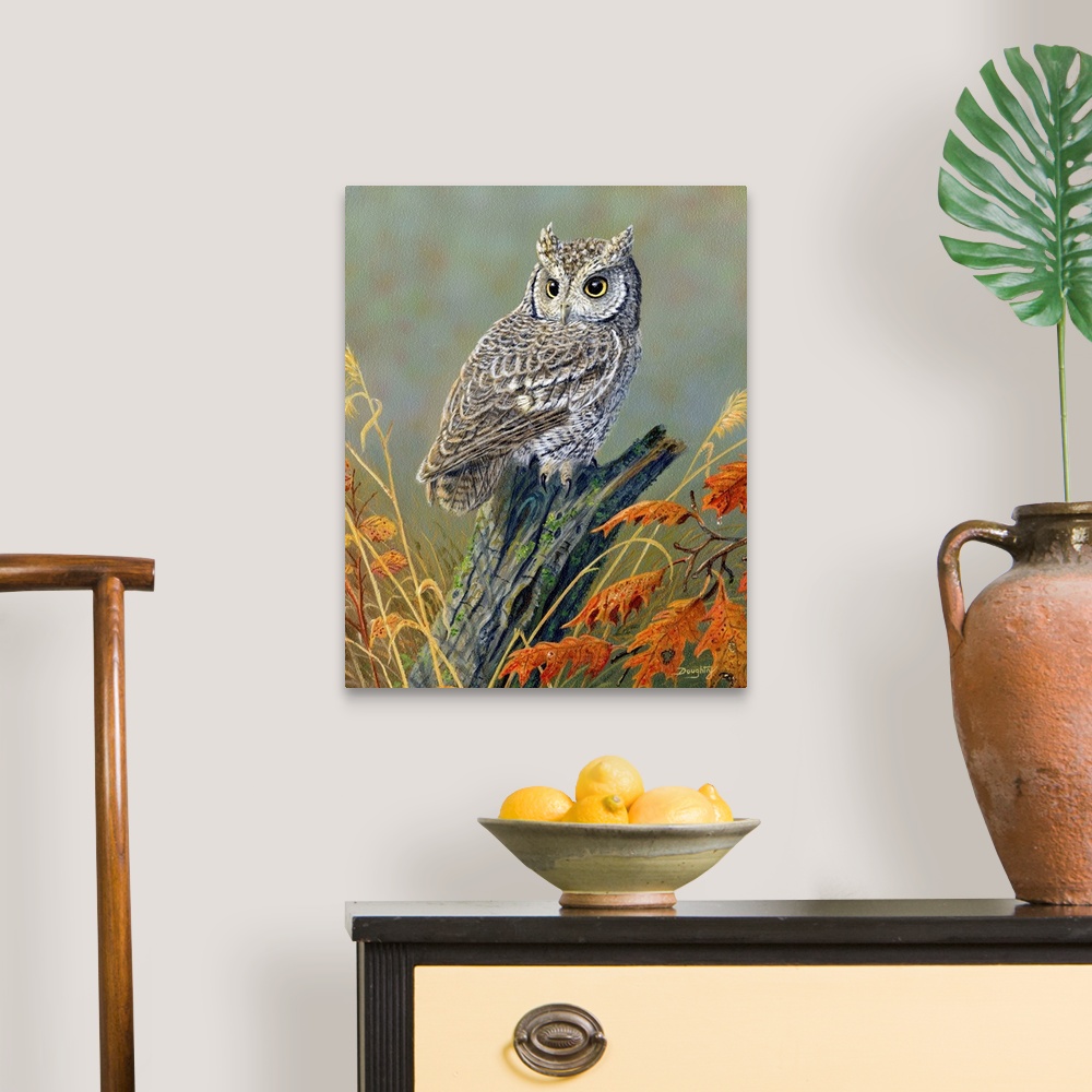 Bright Eyes Screech Owl Wall Art, Canvas Prints, Framed Prints, Wall ...