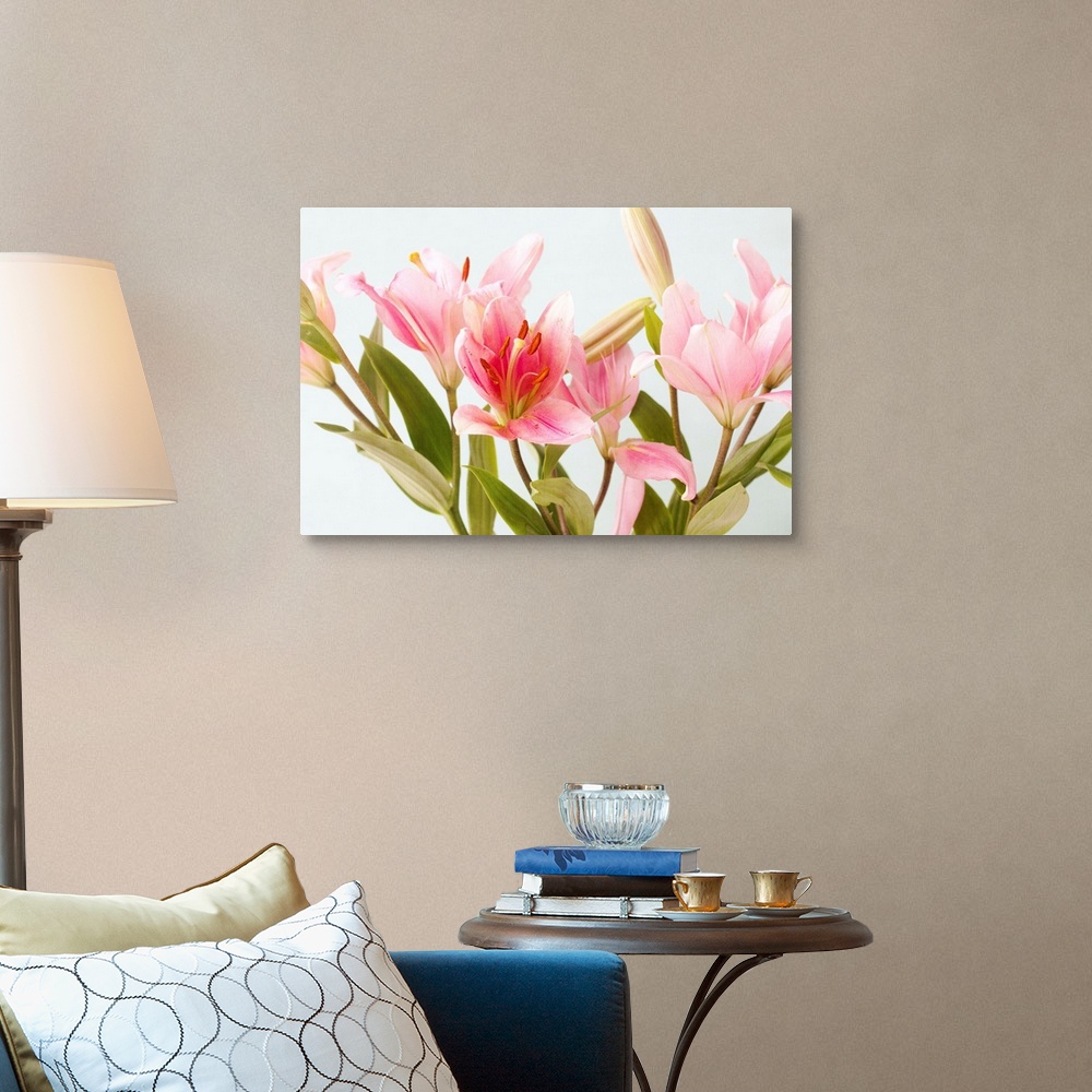 Lily Garden Wall Art, Canvas Prints, Framed Prints, Wall Peels | Great ...