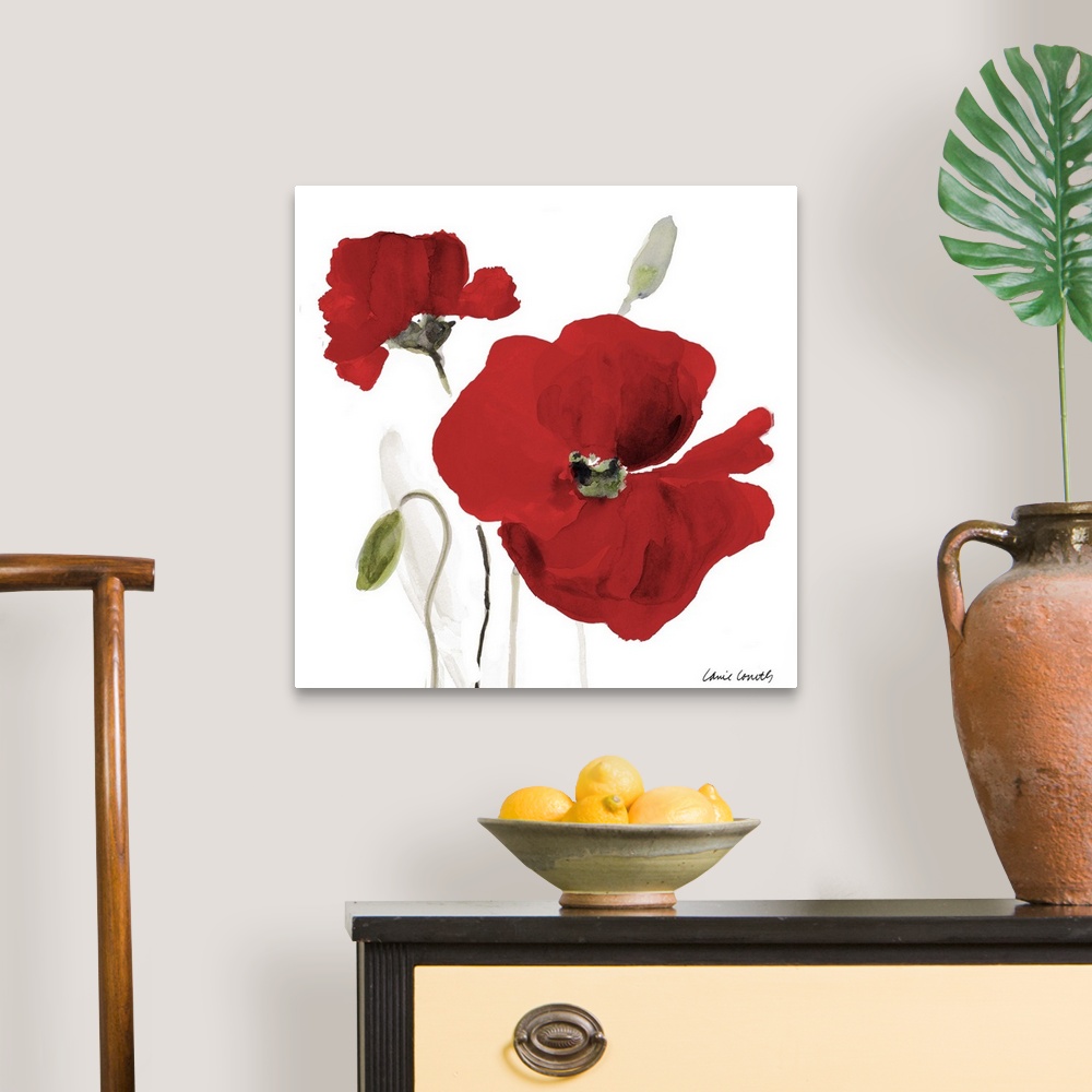 All Red Poppies I Wall Art, Canvas Prints, Framed Prints, Wall Peels