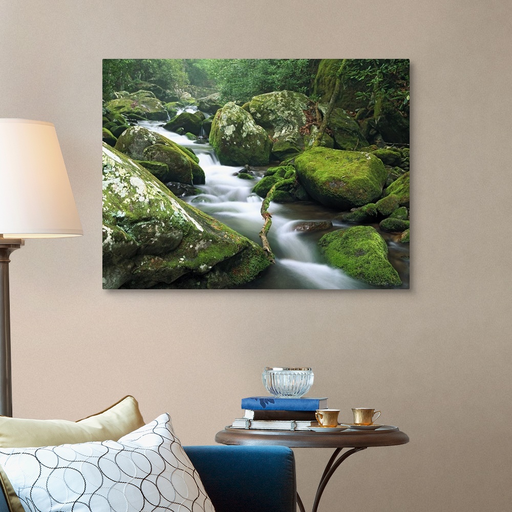 Roaring fork river Great Smoky Mountains National Park Tennessee Wall ...