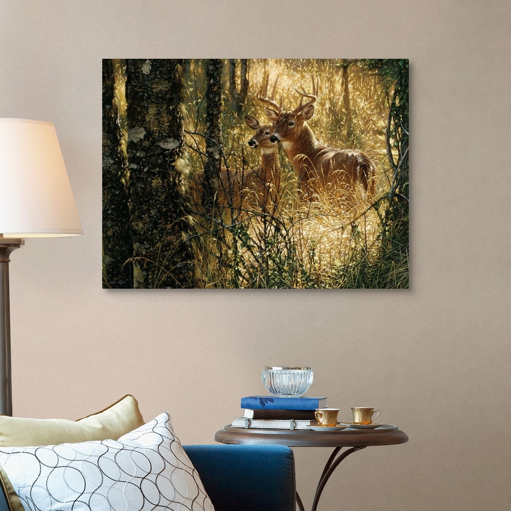 Whitetail Deer - A Golden Moment - Horizontal Wall Art, Canvas Prints ...