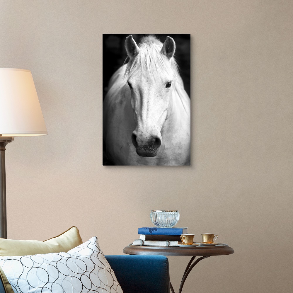 White Horse Portrait Wall Art, Canvas Prints, Framed Prints, Wall Peels ...