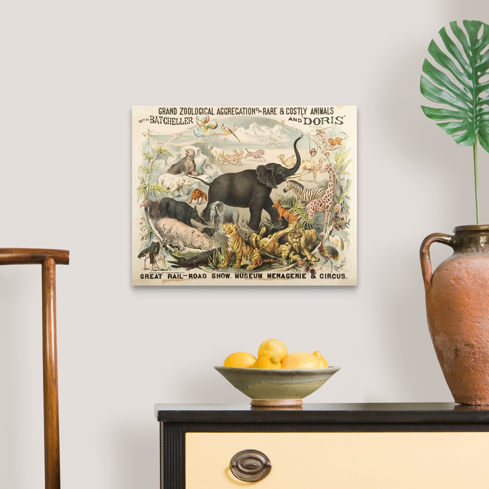 Grand Zoological Aggregation Of Rare And Costly Animals With Batcheller And  Doris Wall Art, Canvas Prints, Framed Prints, Wall Peels | Great Big Canvas