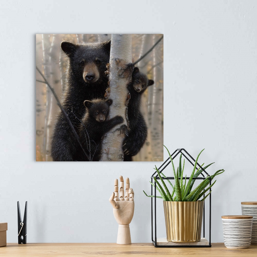 Black Bear Mother and Cubs - Mama Bear Wall Art, Canvas Prints, Framed  Prints, Wall Peels