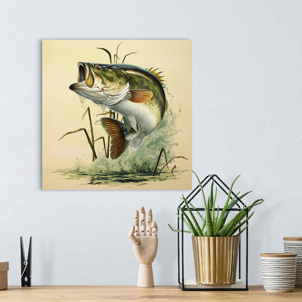 Leaping Bass Wall Art Canvas Prints