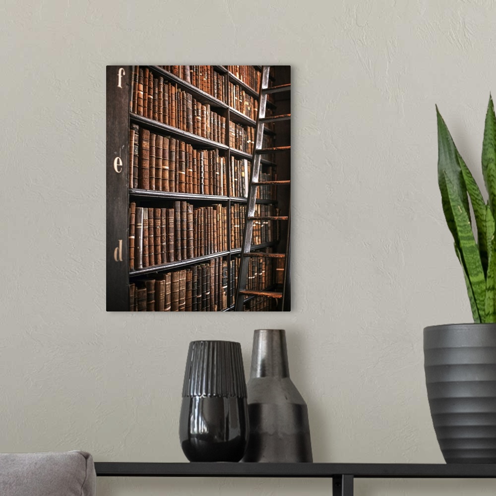 Book Shelves And Ladder Trinity College Library Dublin Ireland Uk Vertical Large Metal Wall Art Print Great Big Canvas