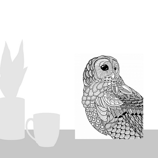 A scale-illustration room featuring BW Night Owl