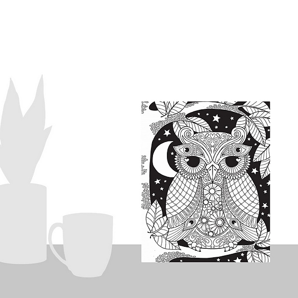 A scale-illustration room featuring Owl on a Branch