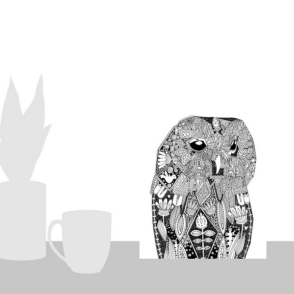 A scale-illustration room featuring Tawny Owl