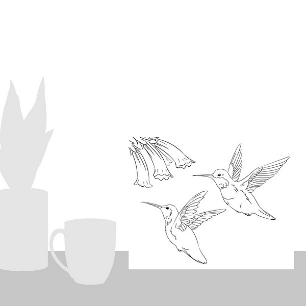 A scale-illustration room featuring Hummingbirds