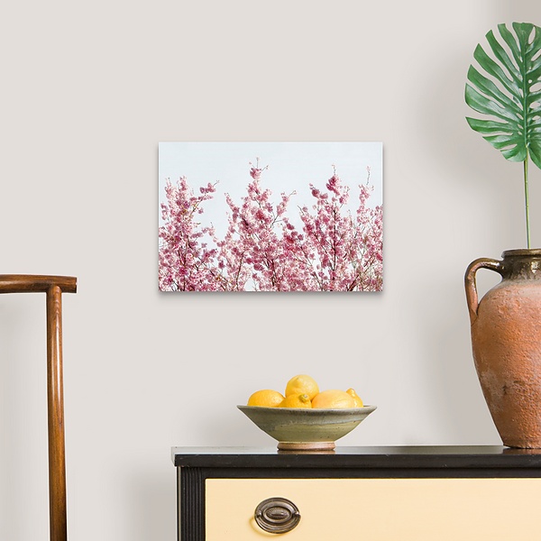 A traditional room featuring Japan Rising Sun Collection - Pink Sakura Tree