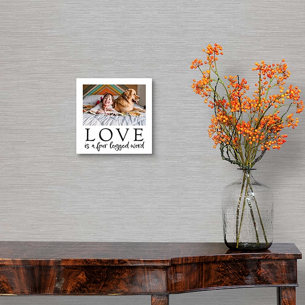 A traditional room featuring Love Is A Four Legged Word