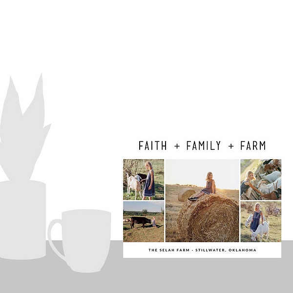 A scale-illustration room featuring Faith Family Farm