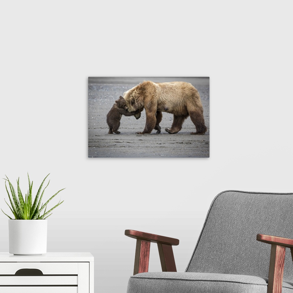 A modern room featuring A Little Bear Hug