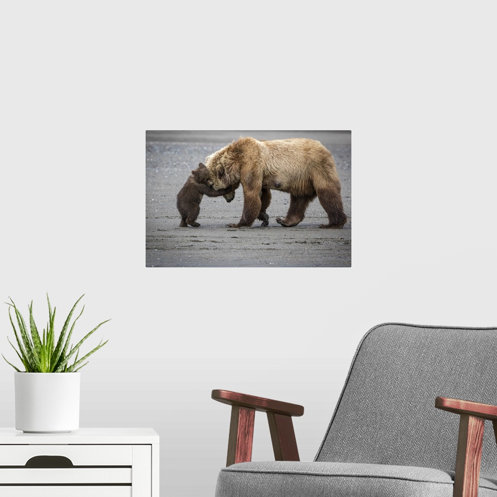 A modern room featuring A Little Bear Hug