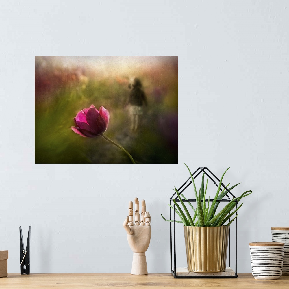 A bohemian room featuring Conceptual photograph of a vibrant pink flower.