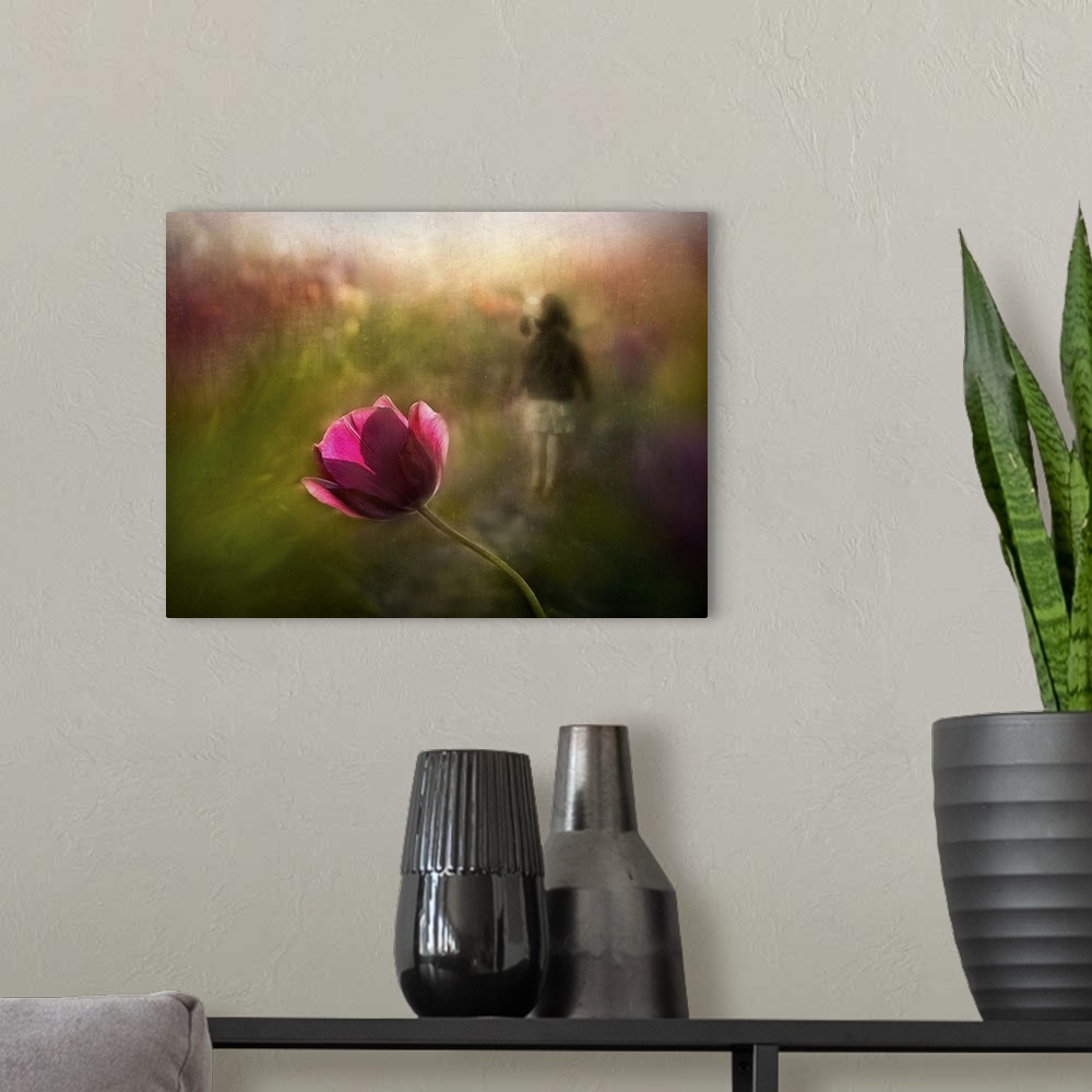 A modern room featuring Conceptual photograph of a vibrant pink flower.