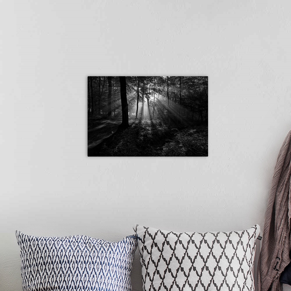 A bohemian room featuring Black and white landscape photograph of the sun beaming through the trees creating rays of light ...