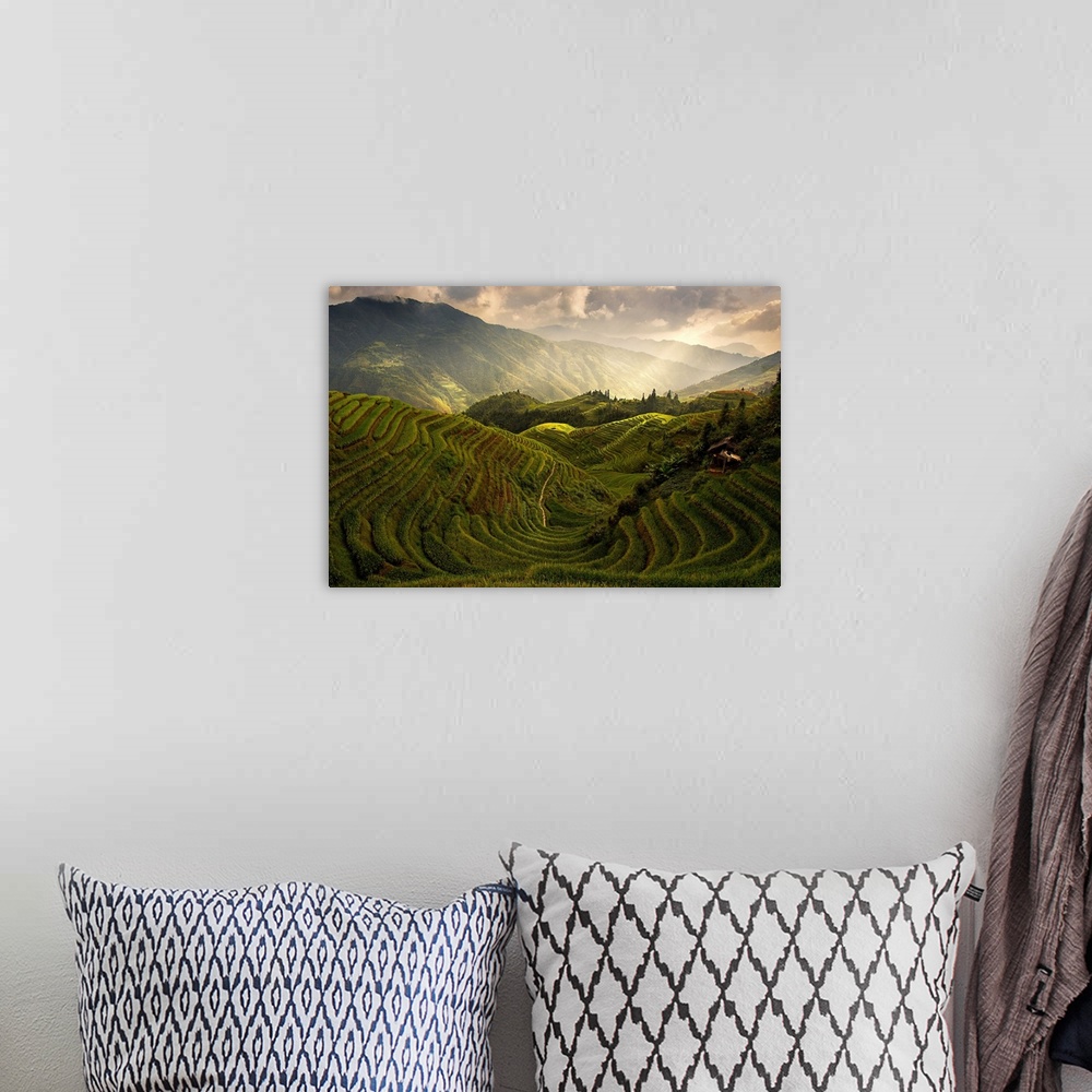 A bohemian room featuring A scenic of china's countryside from the top of a rice terrace.