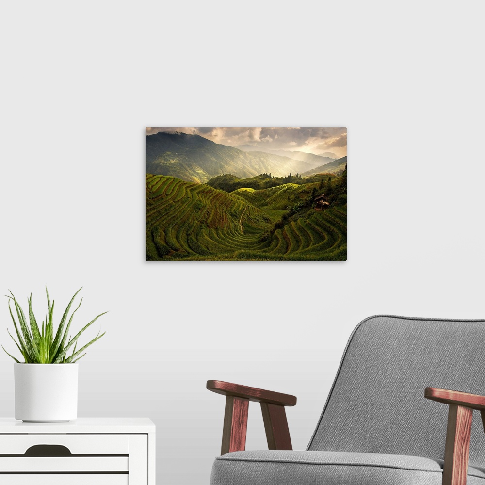 A modern room featuring A scenic of china's countryside from the top of a rice terrace.