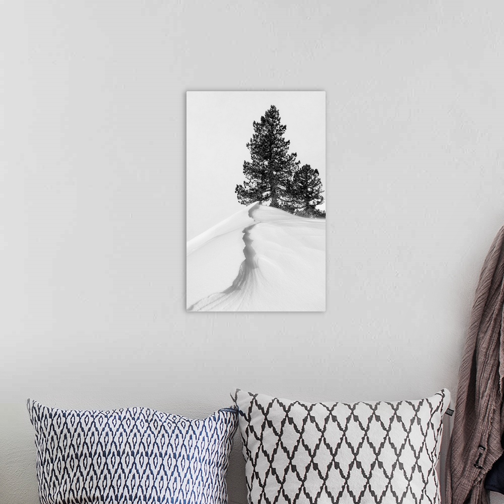 A bohemian room featuring About The Snow And Forms