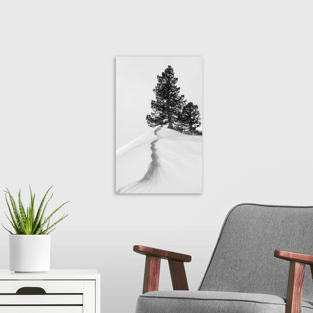 A modern room featuring About The Snow And Forms