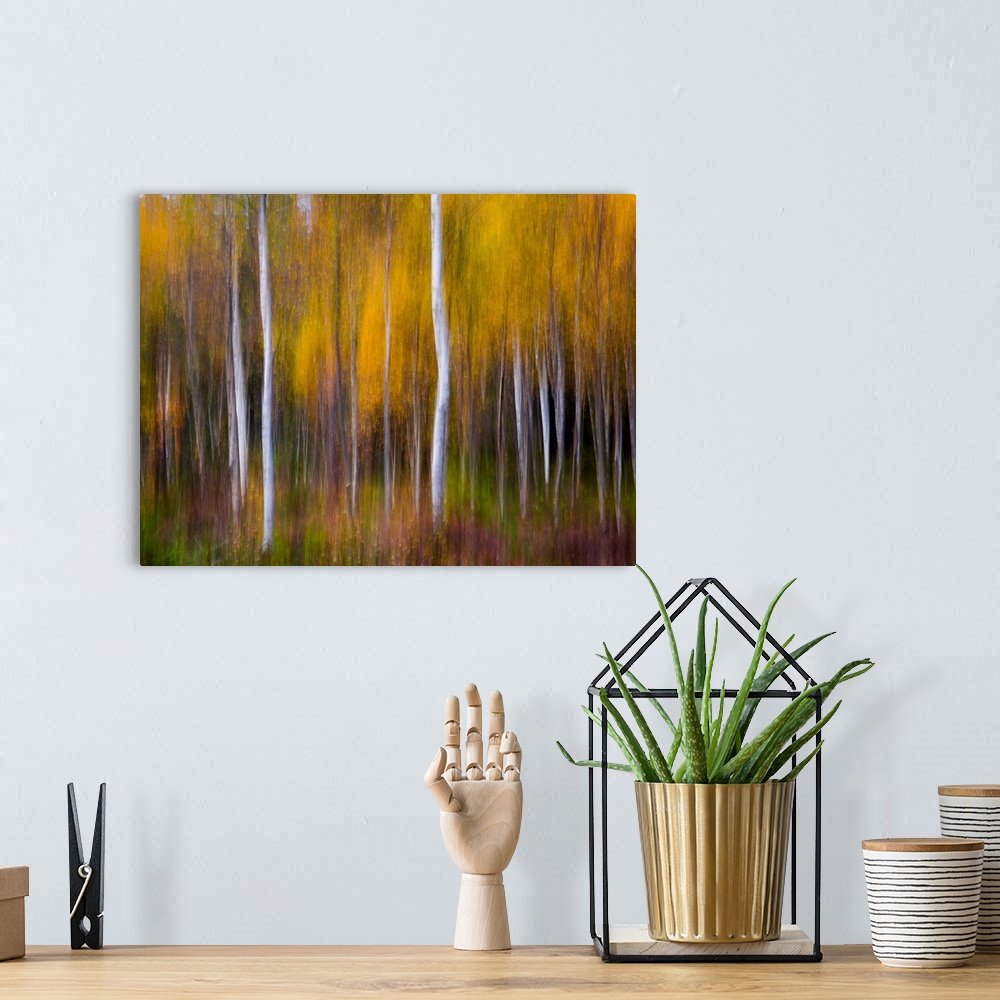 A bohemian room featuring Abstract Fall
